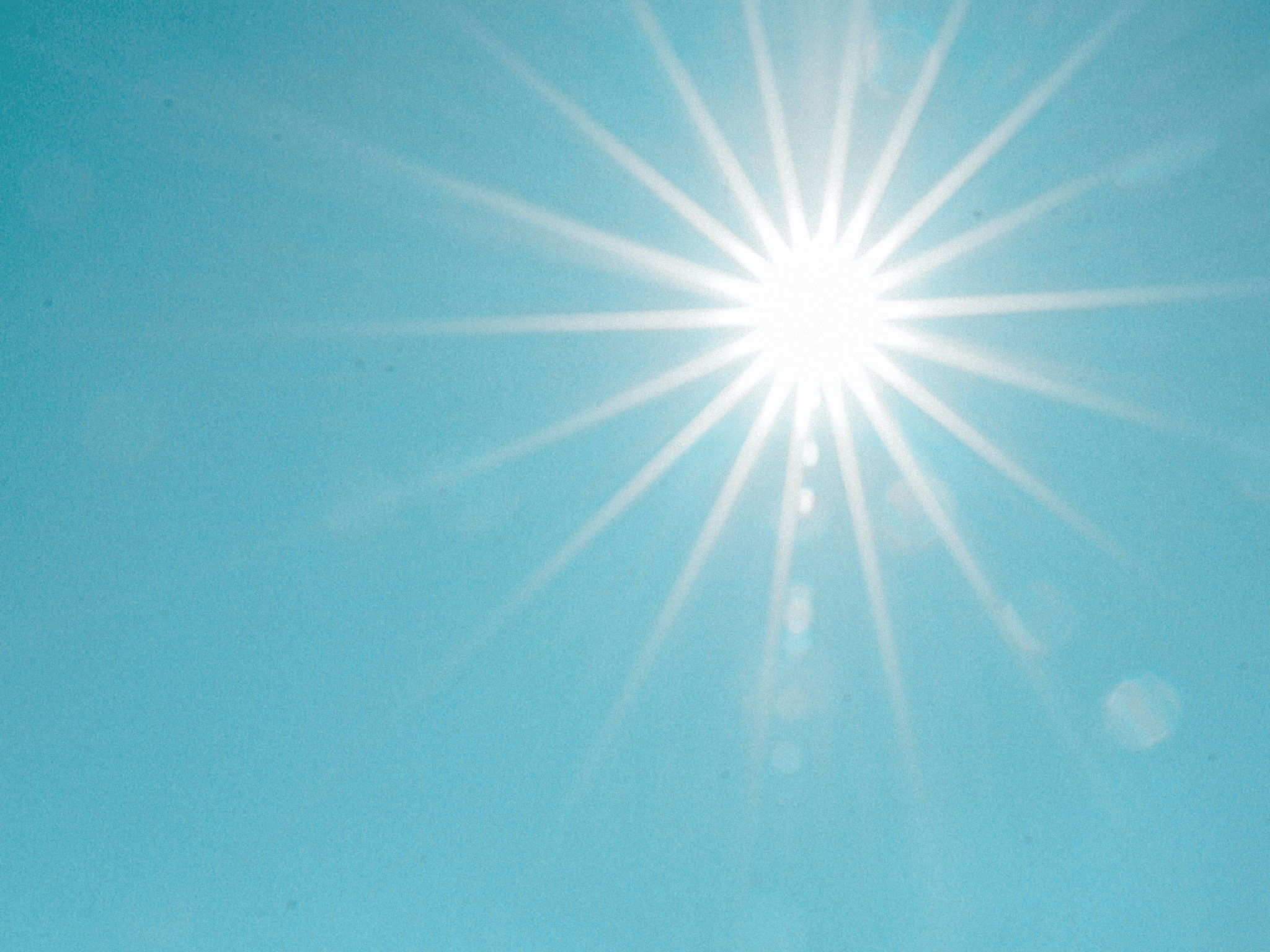 Actualites_canicule2
