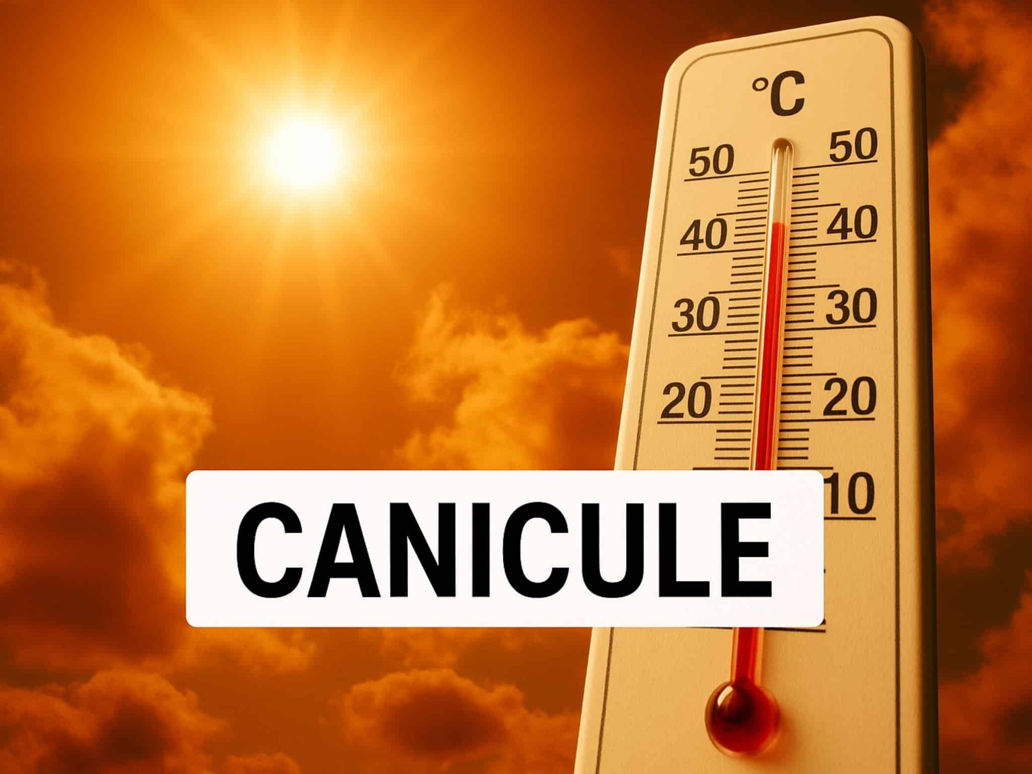 Actualites_canicule