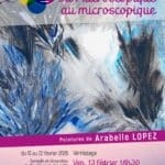 Affiche_Expo_ArabelleLopez_SD-web