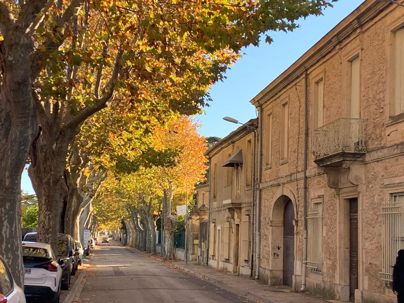 WhatsApp Image 2025-11-18 à 15.47.07_7d63062d