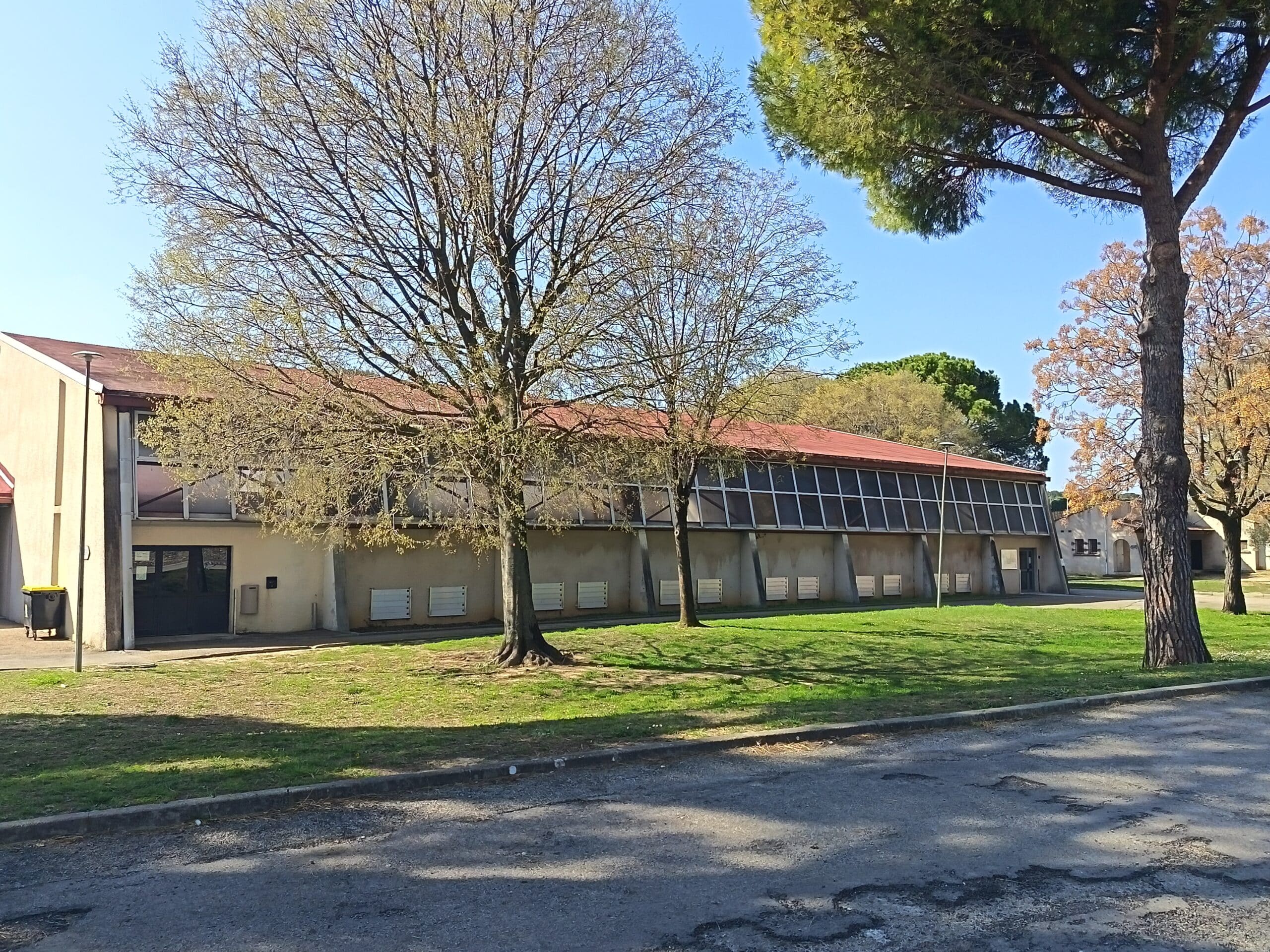 IMG_20260319_144110_1