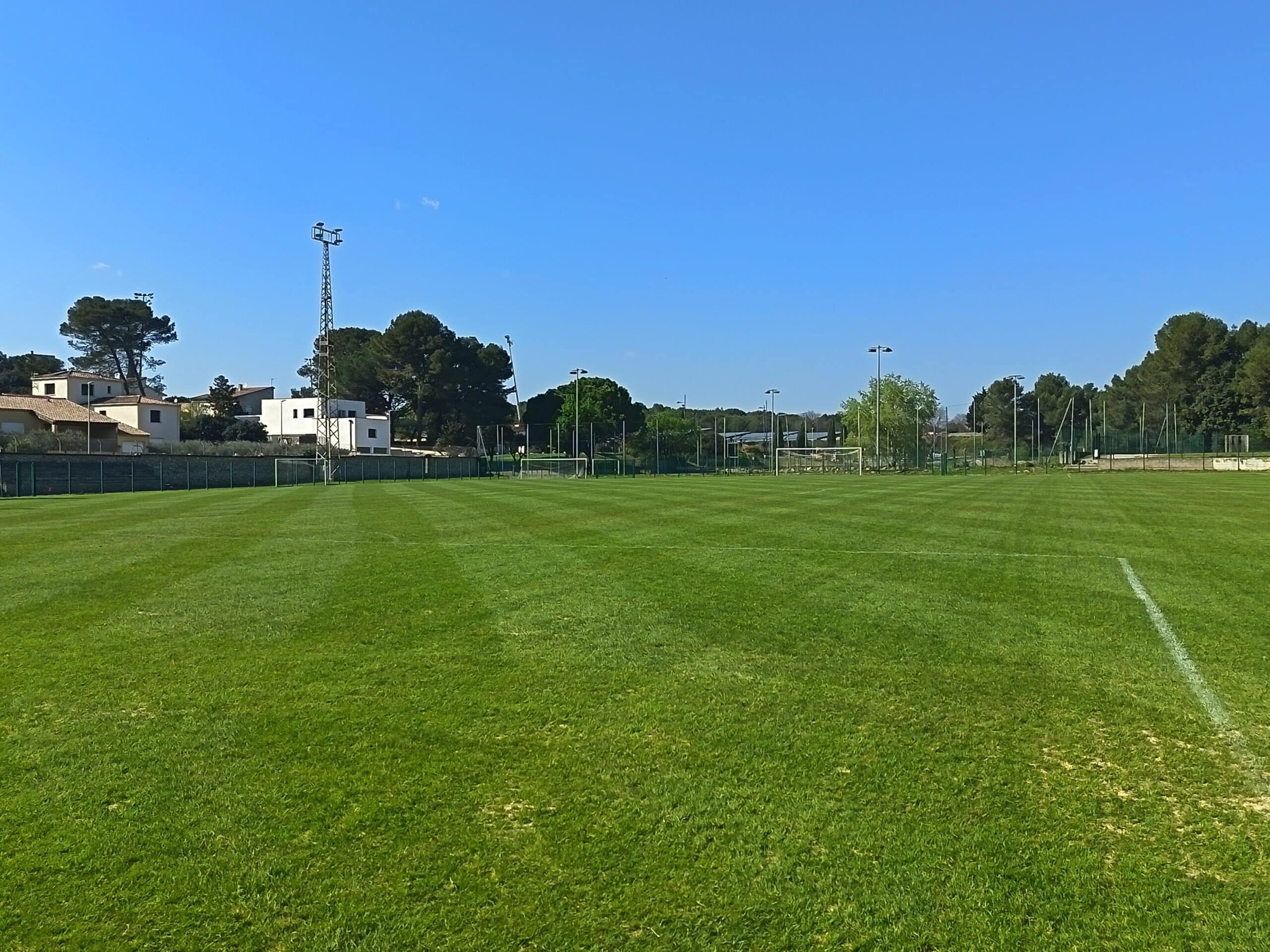 IMG_20260319_144647_1