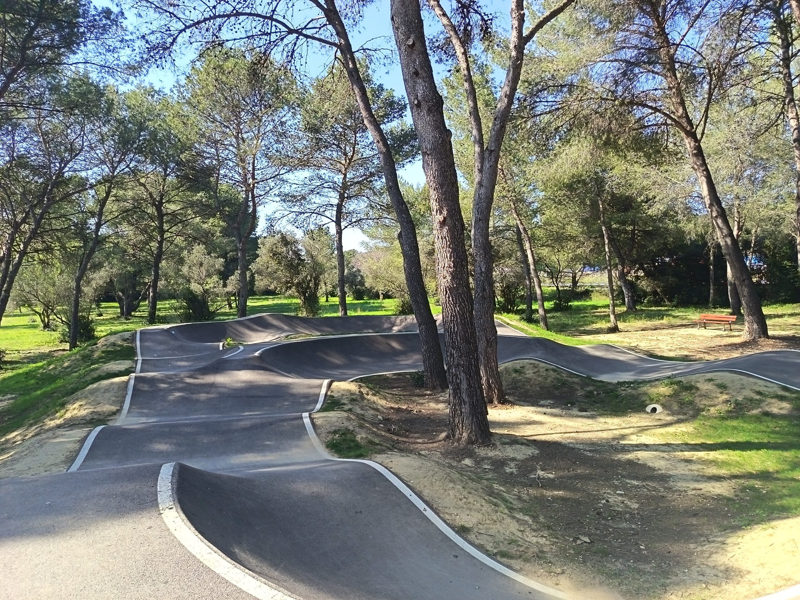 IMG_20260319_145958_1