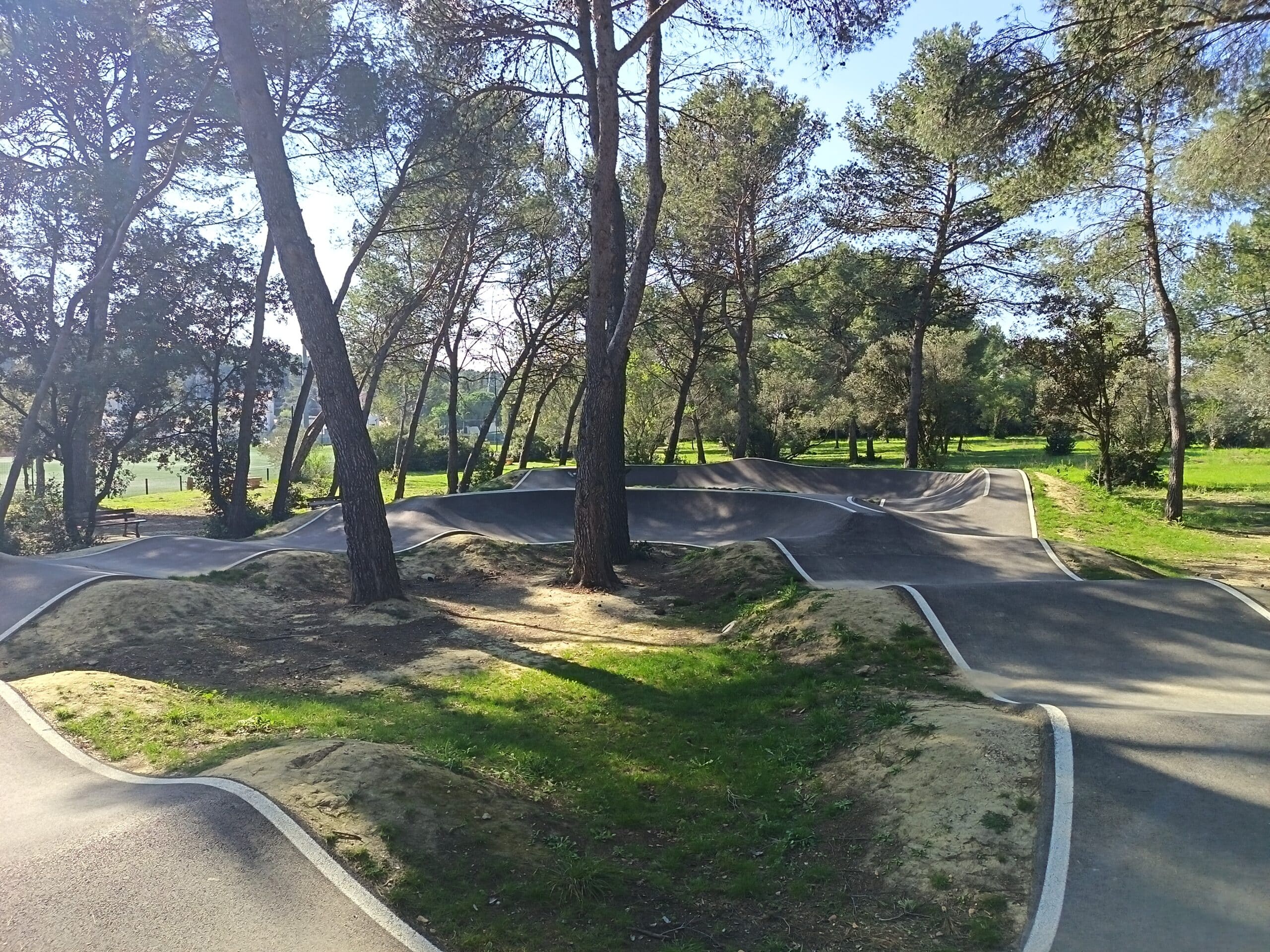 IMG_20260319_150016_1